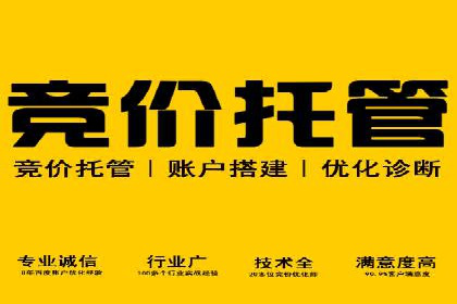 企业SEM托管代运营实战案例